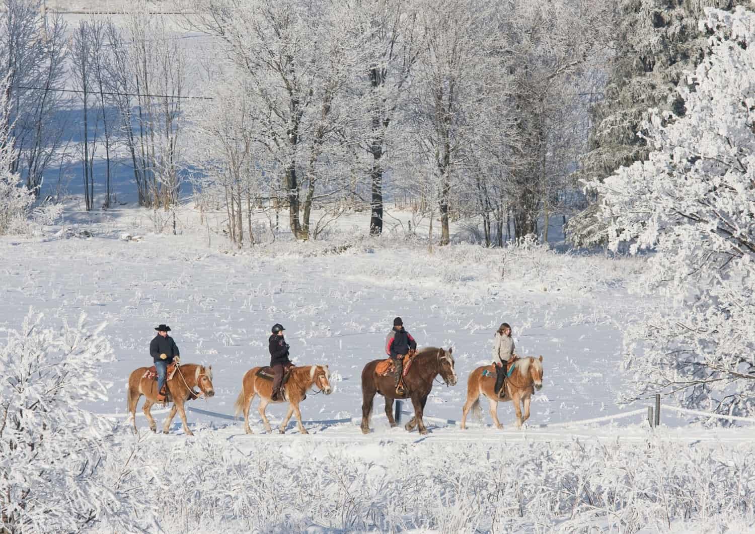 Reiten im Schnee in Niseko, Hokkaidō, Japan