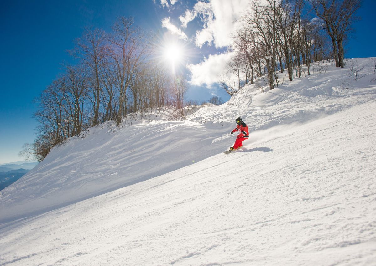 Skifahrer beim Carven auf den verschneiten Pisten Japan