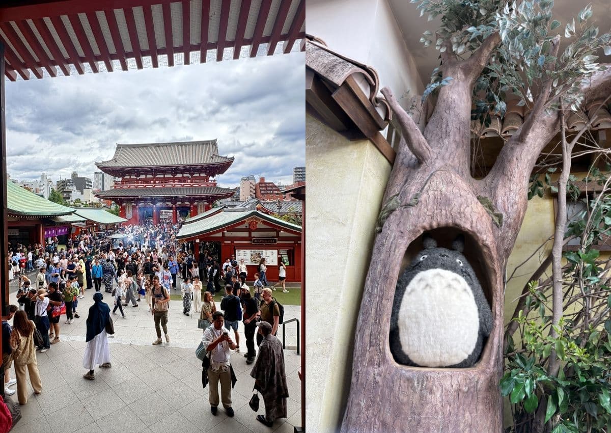 Links der Senso-ji-Tempel in Asakusa, rechts eine Totoro-Plüschfigur