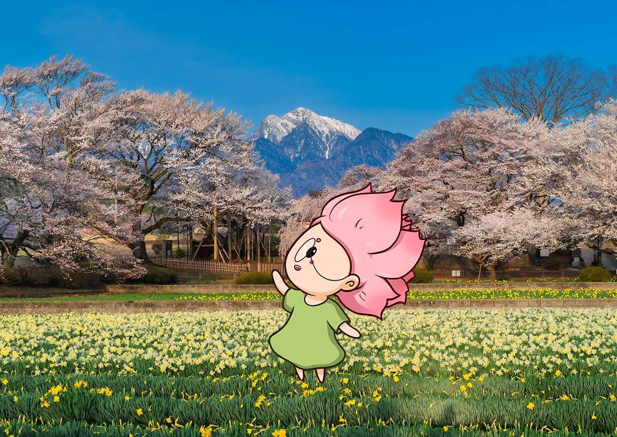 Mono-chan zeigt den Kirschbaum in Yamanashi, Japan