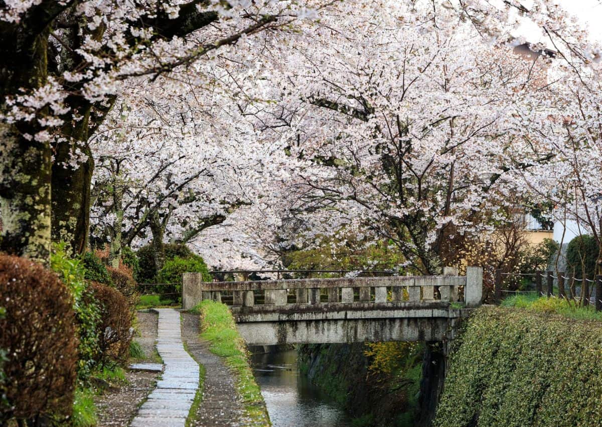 Philosophenweg in Kyoto