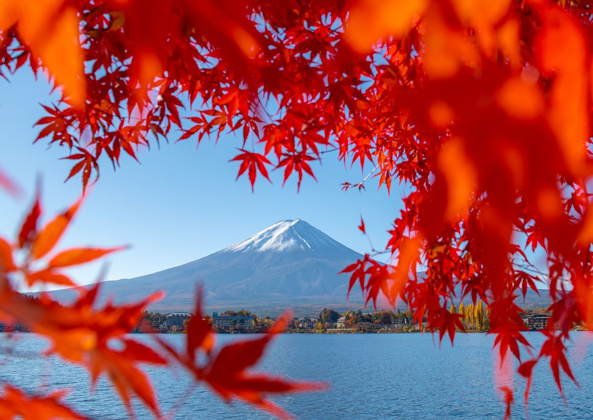 Mt. Fuji mit roten Ahornblättern im Herbst, Japan