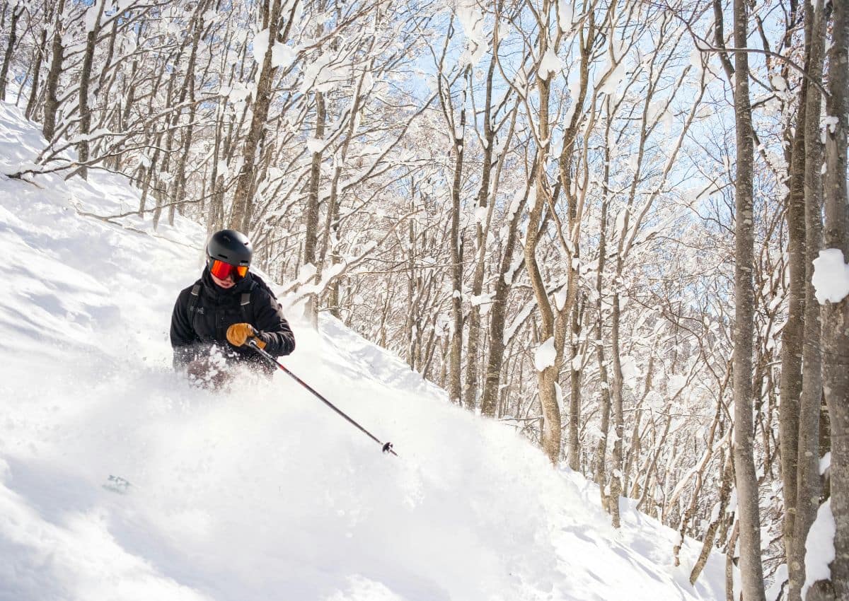 Tree Skiing im Skigebiet Tsugaike Kogen, Hakuba, Japan