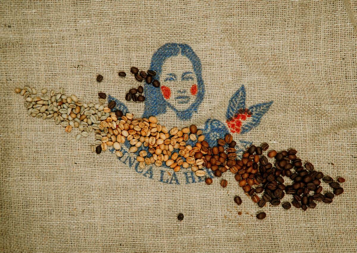 Logo einer Kaffeerösterei, umgeben von Kaffeebohnen