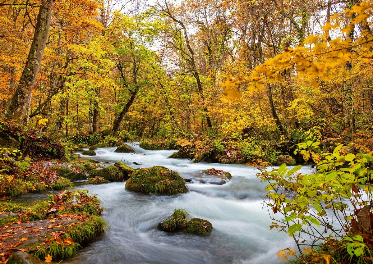 Oirase-Schlucht im Herbst, Aomori, Japan