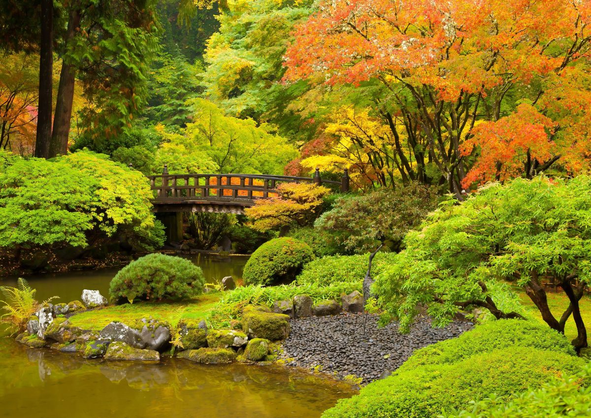 Blick auf eine Brücke in einem japanischen Garten