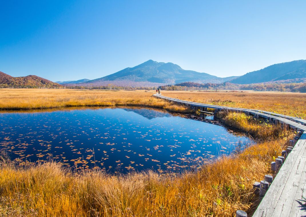 Beautiful trail at Oze national park, Japan