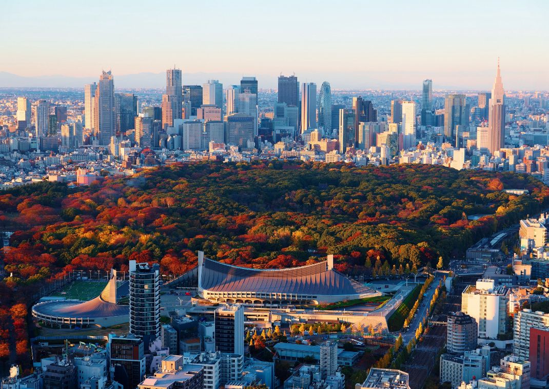 Efterårsløv i det centrale Tokyo, Japan