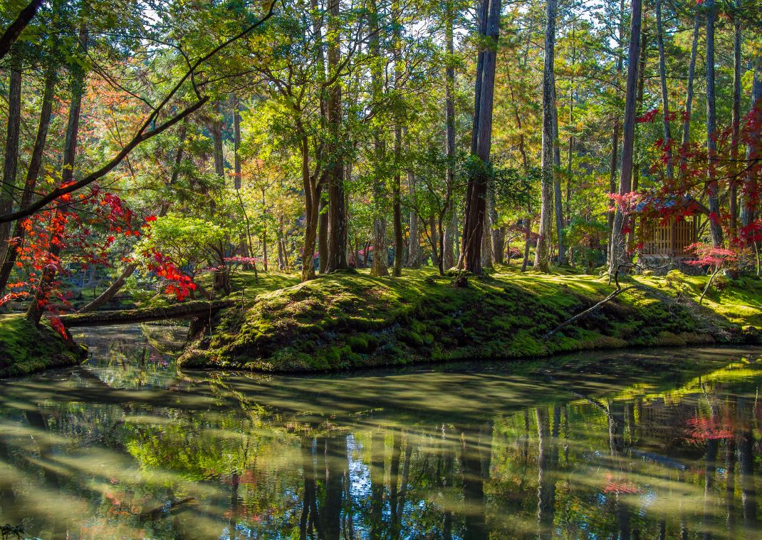 Saihoji(Kokedera), Japanese, garden, Kyoto, Japan