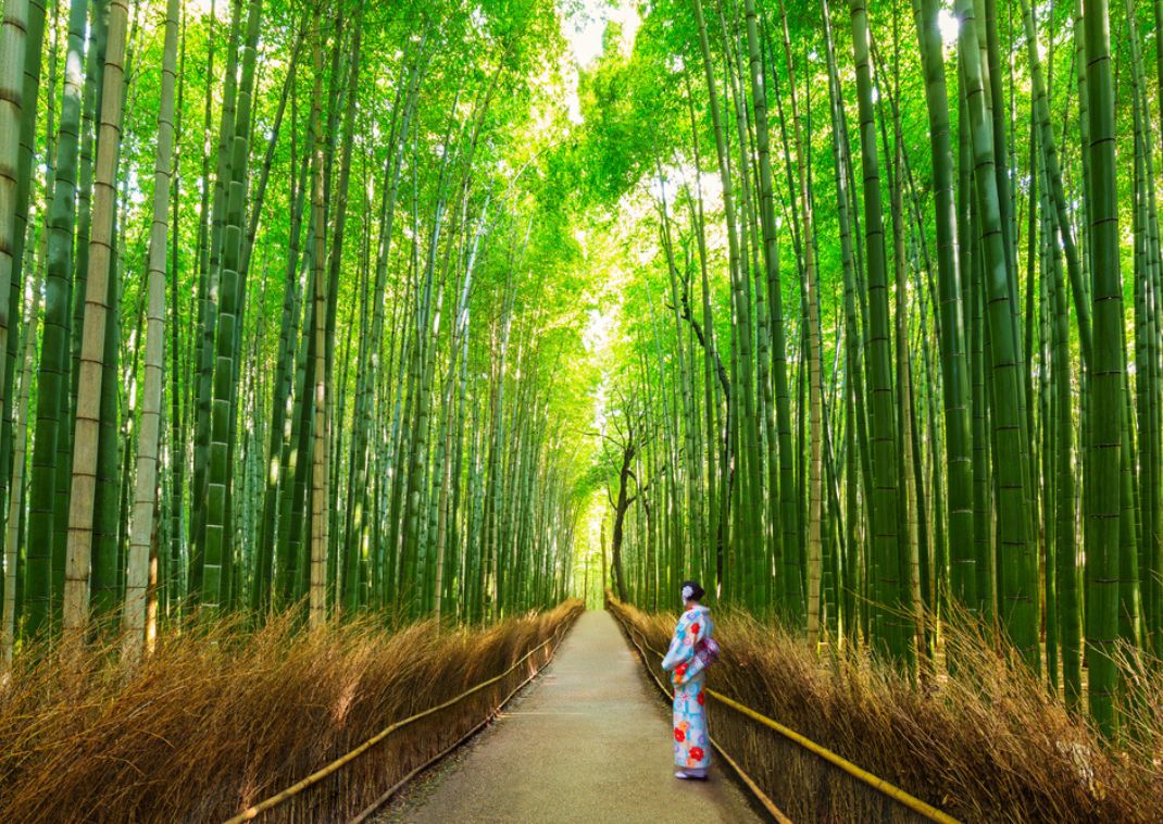 Mädchen trägt Yukata im Bambuswald in Arashiyama, Kyoto, Japan.