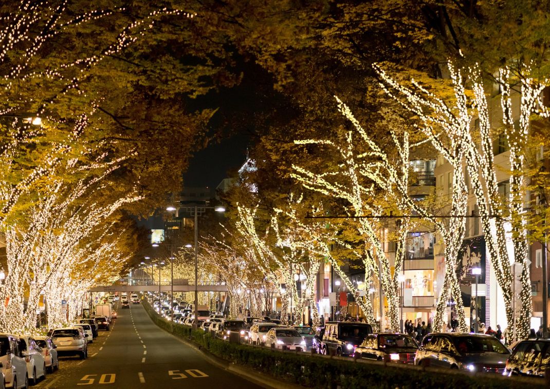 Omotesando am Abend, Tokyo, Japan