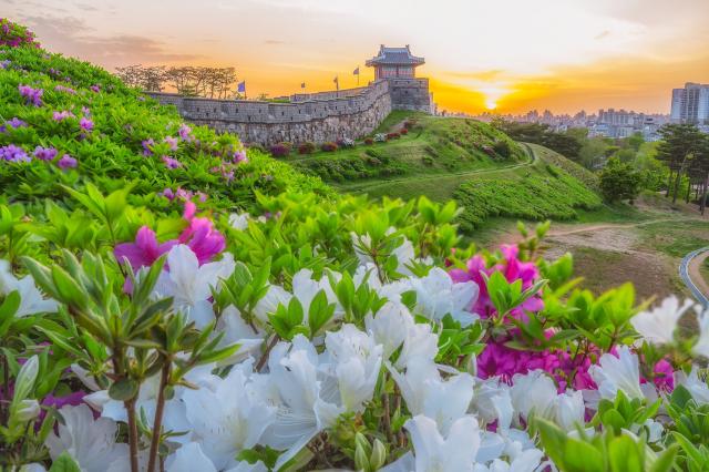 Festung Hwaseong