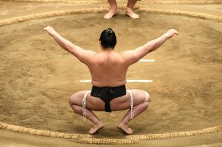 Sumo-Ringer