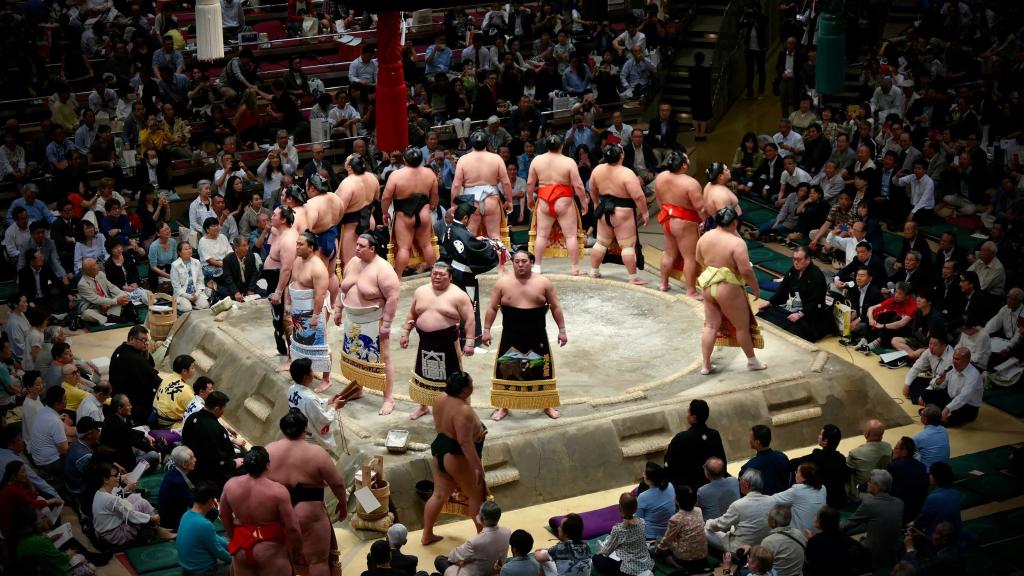 Sumo-Ringer