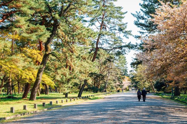 Kyoto Gyoen Nationaler Garten