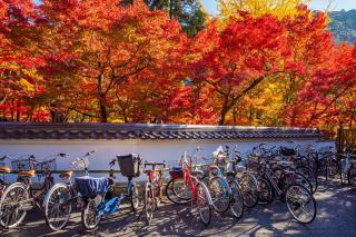 Fahrräder in Kyoto