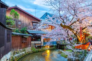 Fluss Shirakawa