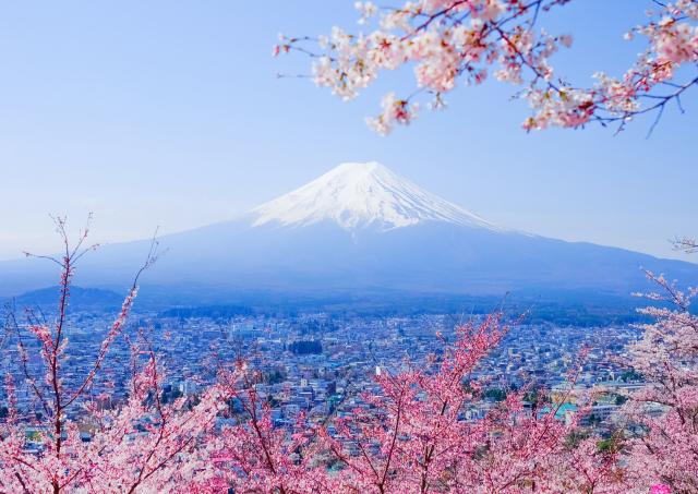 Der Mount Fuji mit Kirschblüten im Frühling