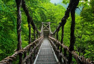 Kazurabashi-Brücke, Iya-Tal