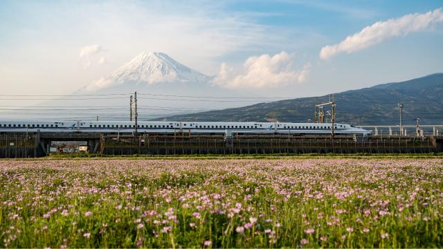 Shinkansen-Züge und Mount Fuji