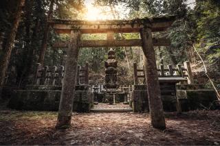 Ganztagesausflug zum Mount Koya