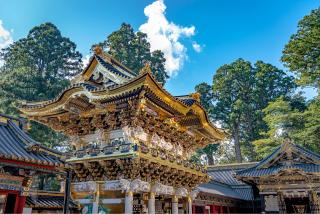 Halbtagesausflug nach Nikko
