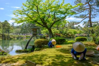 Hafen Kenrokuen, Kanazawa