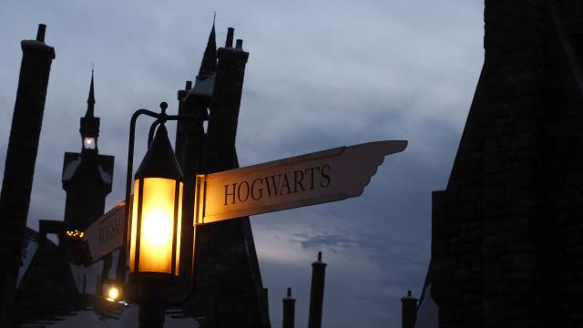 Harry-Potter-Land, Japan