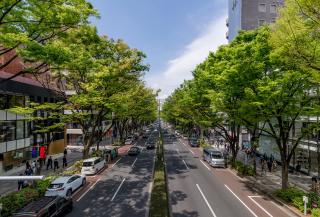 Ometosando-Straße, Tokio