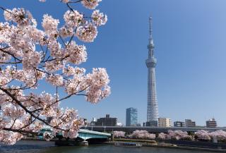 Skytree-Turm, Tokio