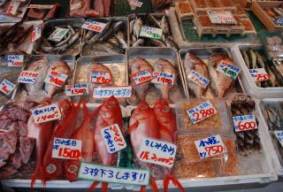 Tsukiji-Fischmarkt, Tokio