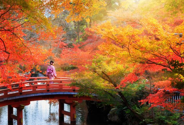Japan im Herbst