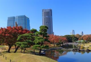 Hamarikyu-Hafen, Tokio