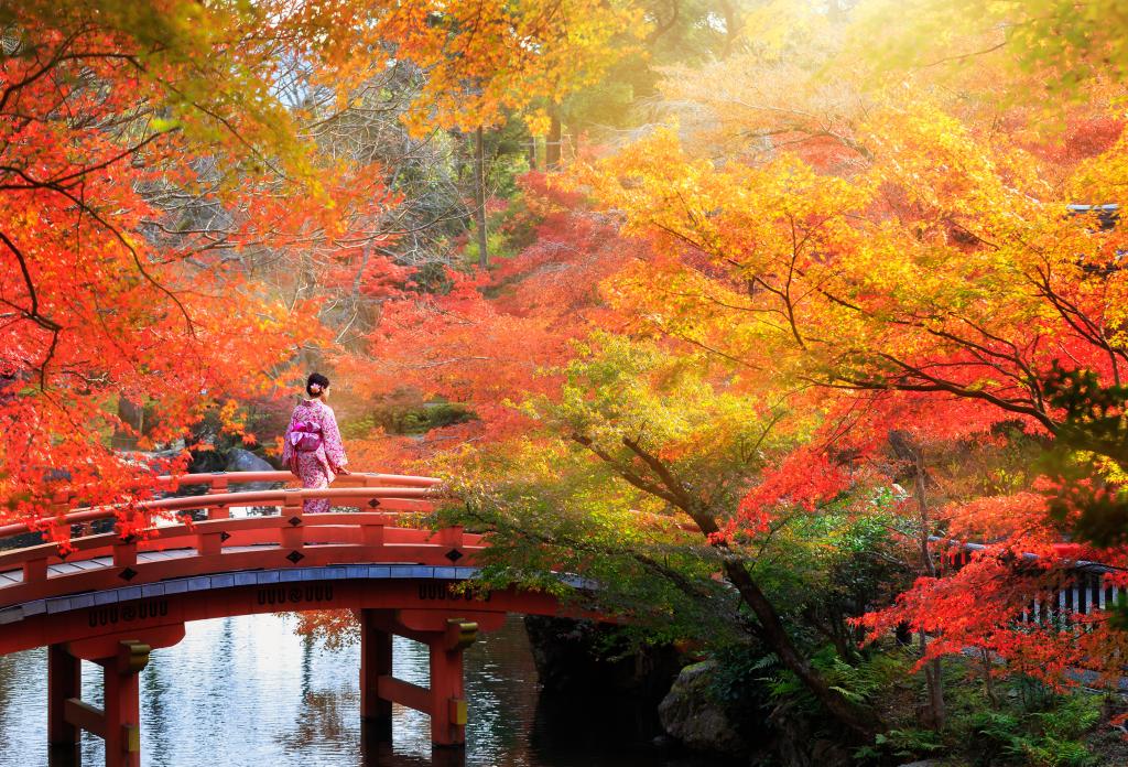Herbst in Japan