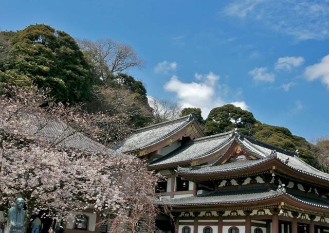 Hase-dera-Tempel