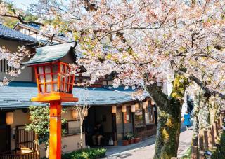 Kinosaki Onsen Dorf mit Kirschblüten im Frühling