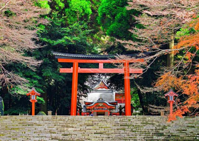 Torii-Tor des Kirishima-Jingu-Schreins