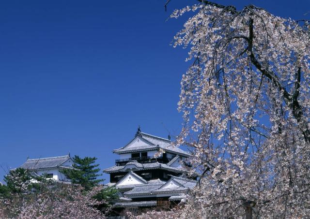 Schloss Matsuyama