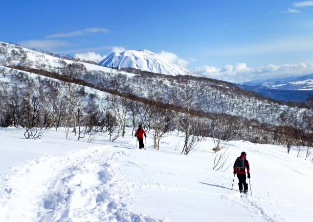 Skifahren abseits der Pisten in Niseko