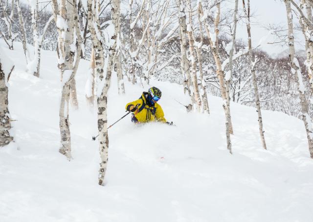 Skifahren abseits der Pisten in Niseko