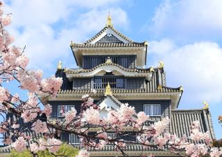 Schloss Okayama im Frühling