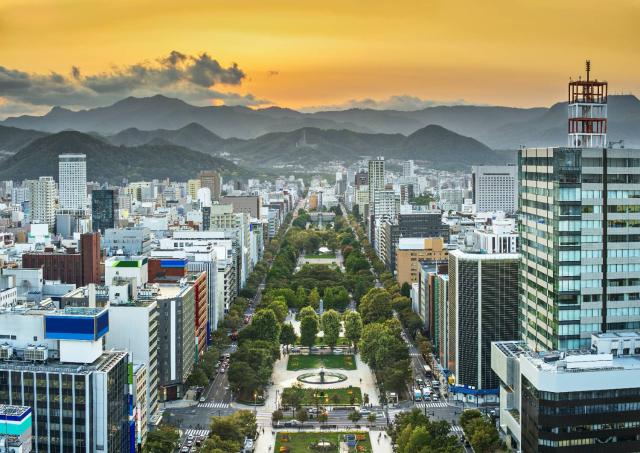 Sapporo und Odori-Park von oben gesehen