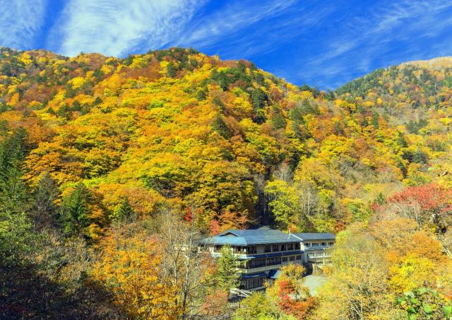 Die Wälder des Izu-Kogen im Herbst