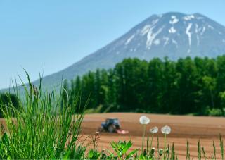 Die kleinen Straßen im ländlichen Niseko