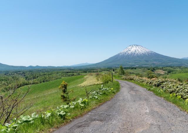 Berg Yotei, Niseko