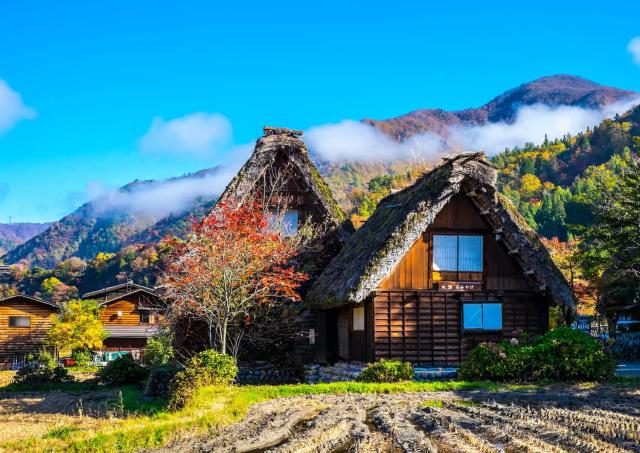 Das Dorf Ogimachi im Herbst