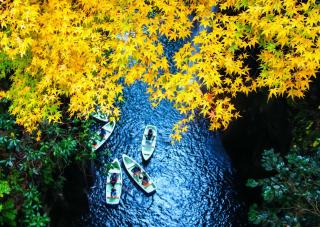 Herbstfarben in der Takachiho-Schlucht