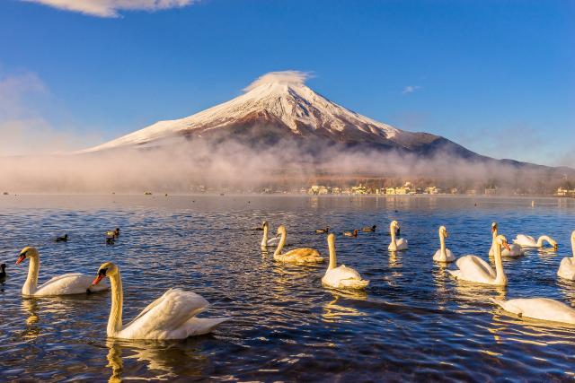 Der Mount Fuji vom Yamanaka-See aus gesehen