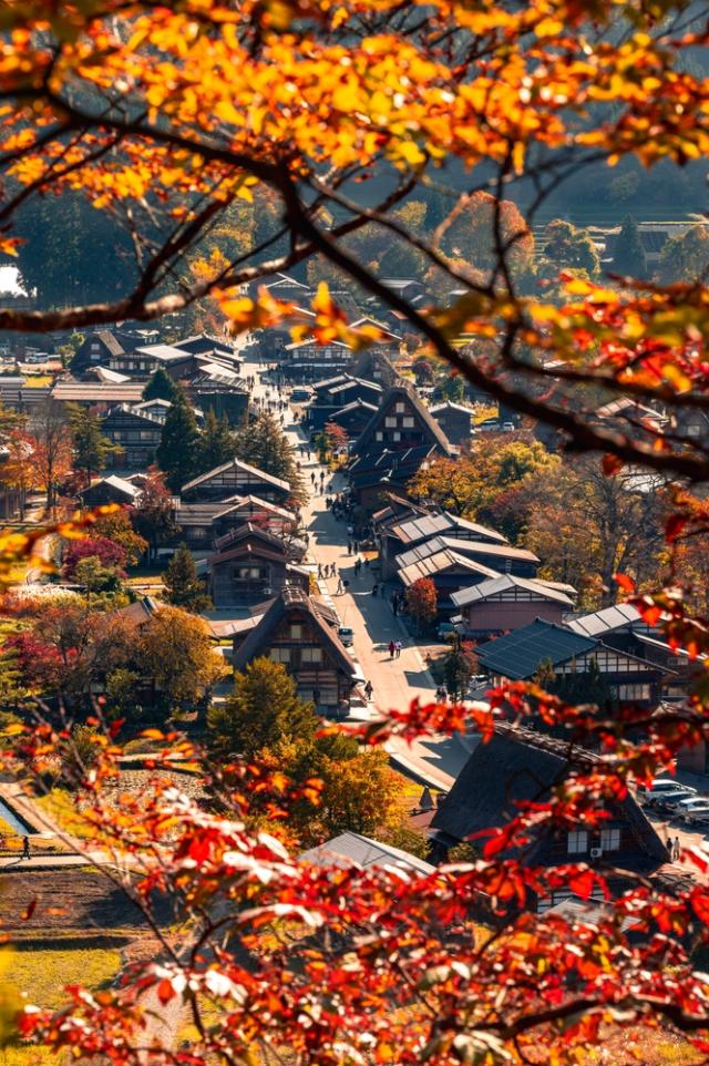 Herbst im Dorf Shirakawa-go, Gifu 