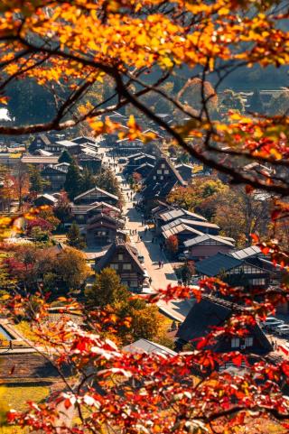 Herbst im Dorf Shirakawa-go, Gifu 